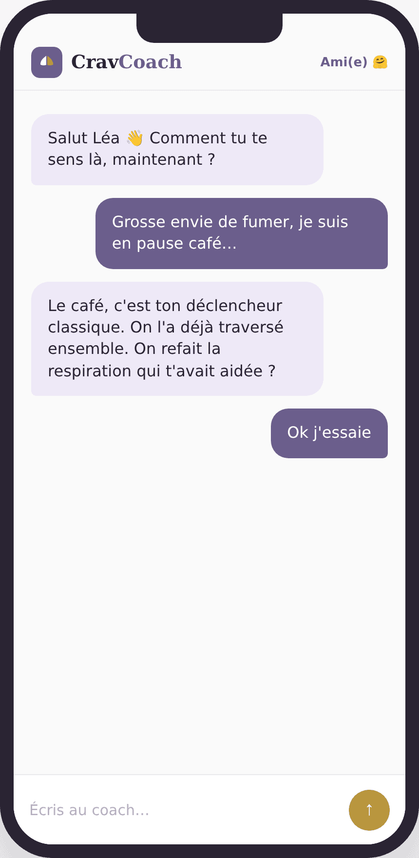 Coach qui se souvient de toi